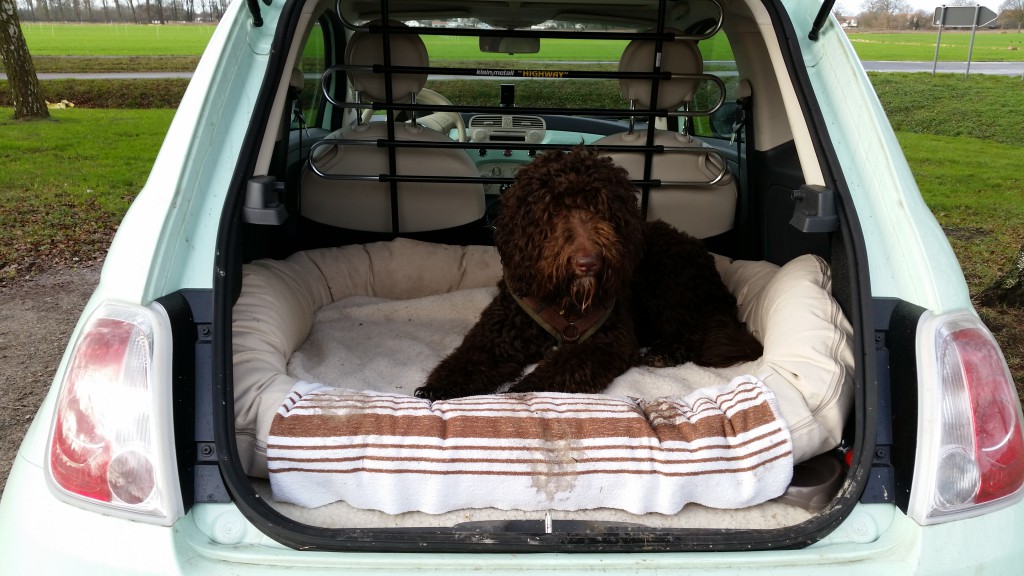 Kofferraum Fiat 500 für Hund